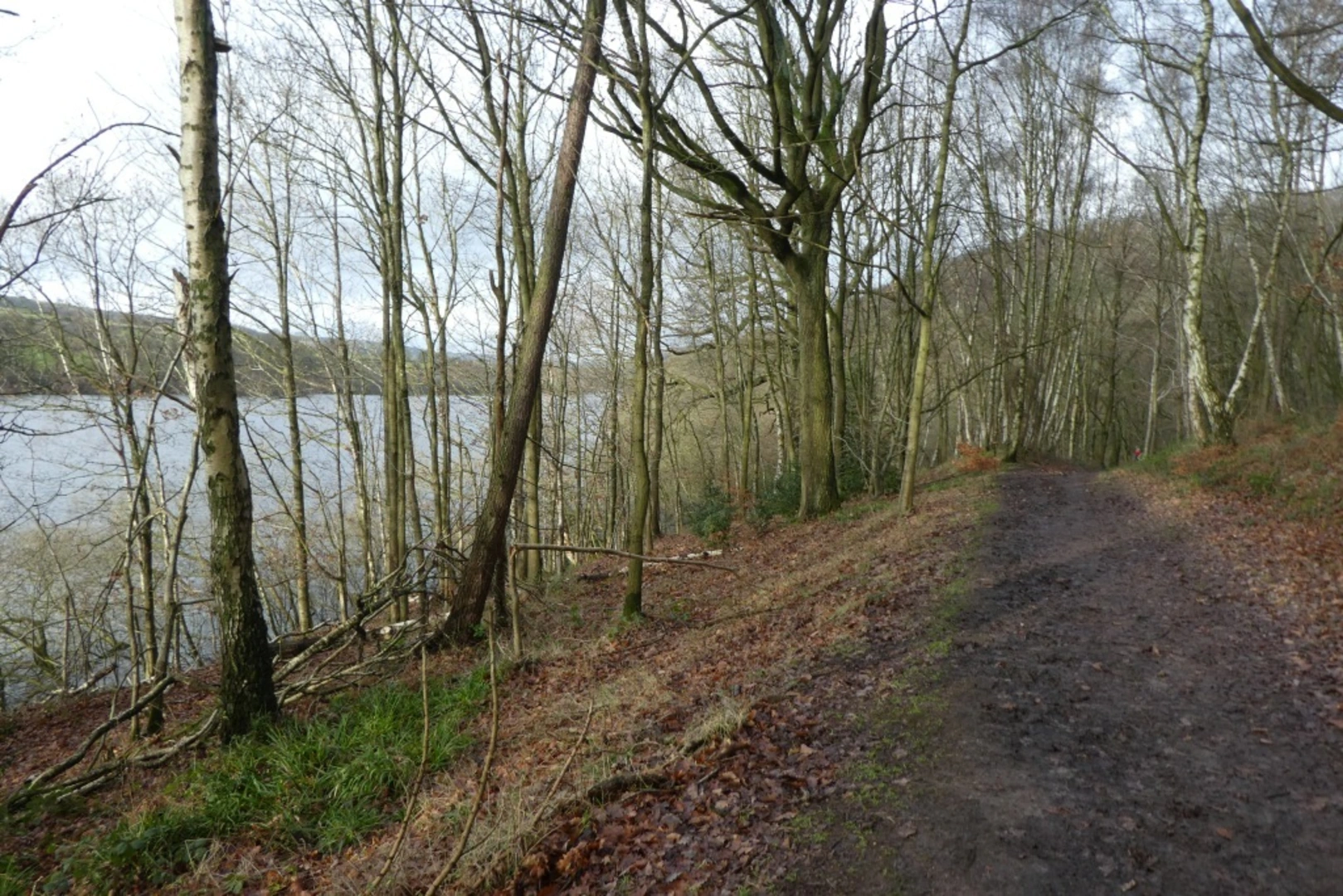 An image depicting the trail Lindley Wood Reservoir Walk and its surrounding area.