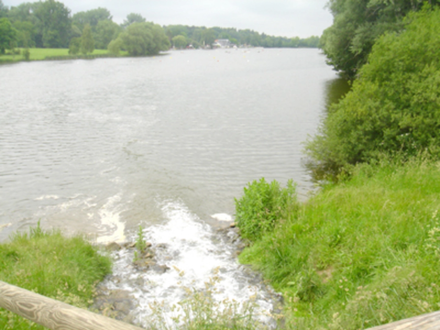 An image depicting the trail Kiessee Loop and its surrounding area.