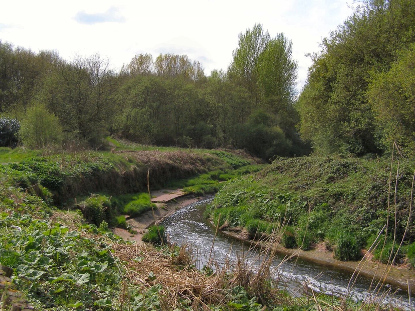 An image depicting the trail Clayton Vale Walk and its surrounding area.