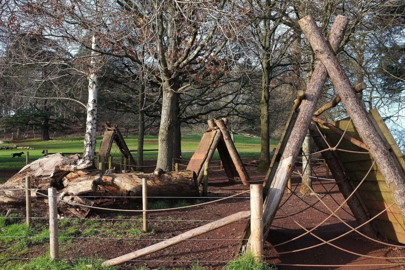 An image depicting the trail Killerton Park and Cross Park Loop and its surrounding area.