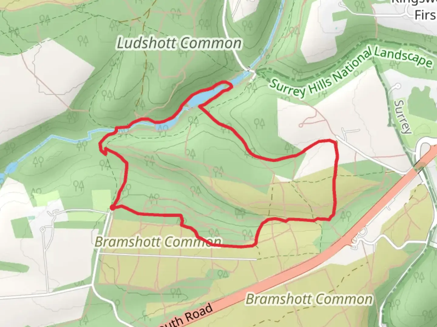 An image depicting the trail Bramshott Common Loop and its surrounding area.