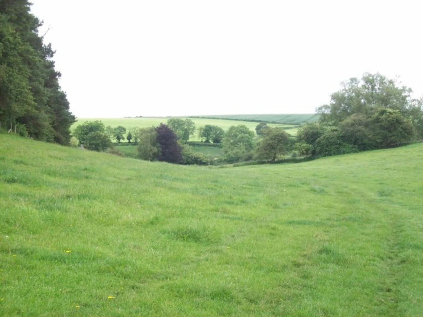 An image depicting the trail Fullbrook and Faws Grove Loop and its surrounding area.