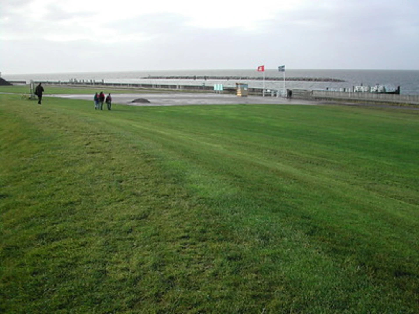 An image depicting the trail Mittelweg Loop and its surrounding area.