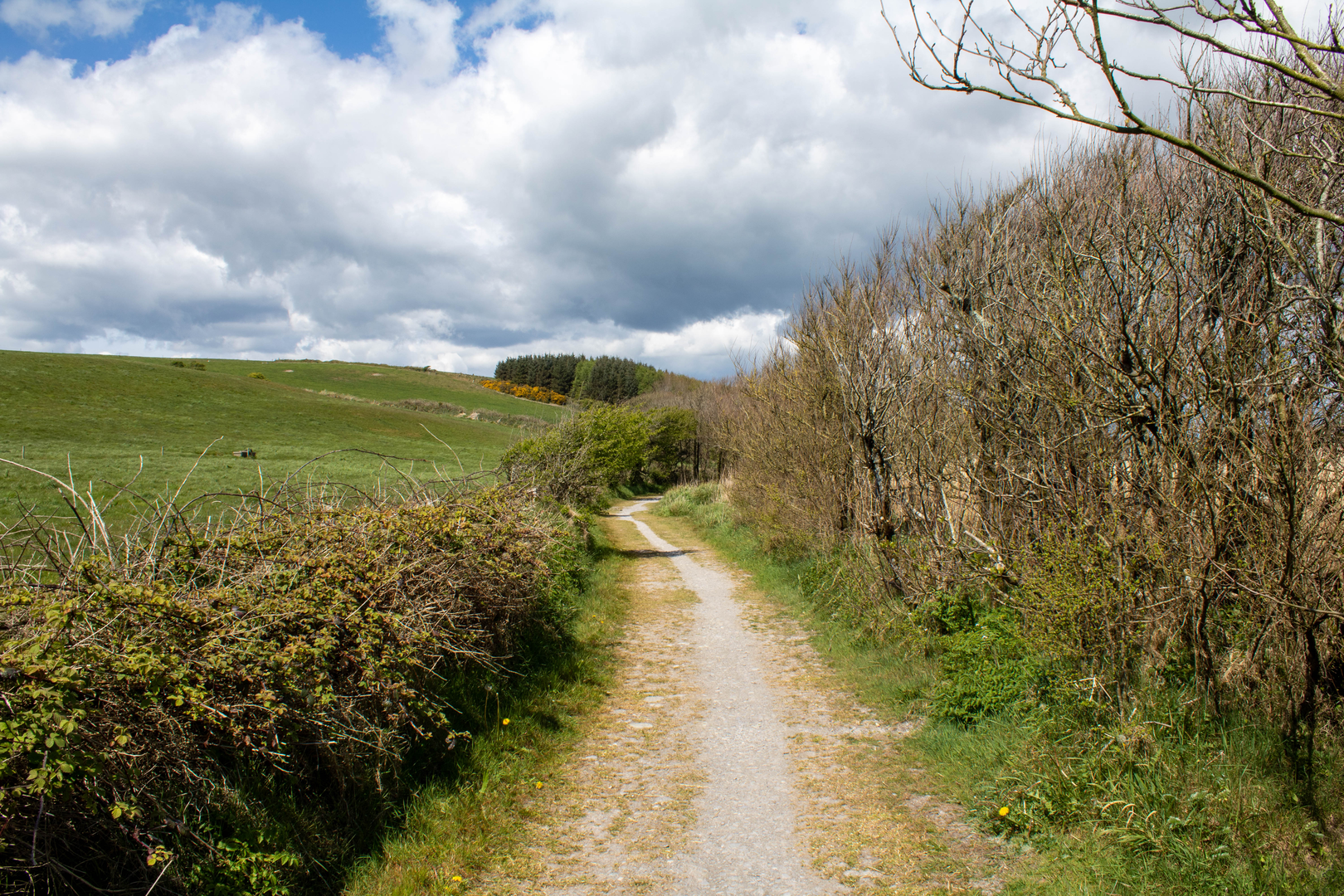 An image depicting the trail Kilbrittain Trails - Rathclaren Walk and its surrounding area.