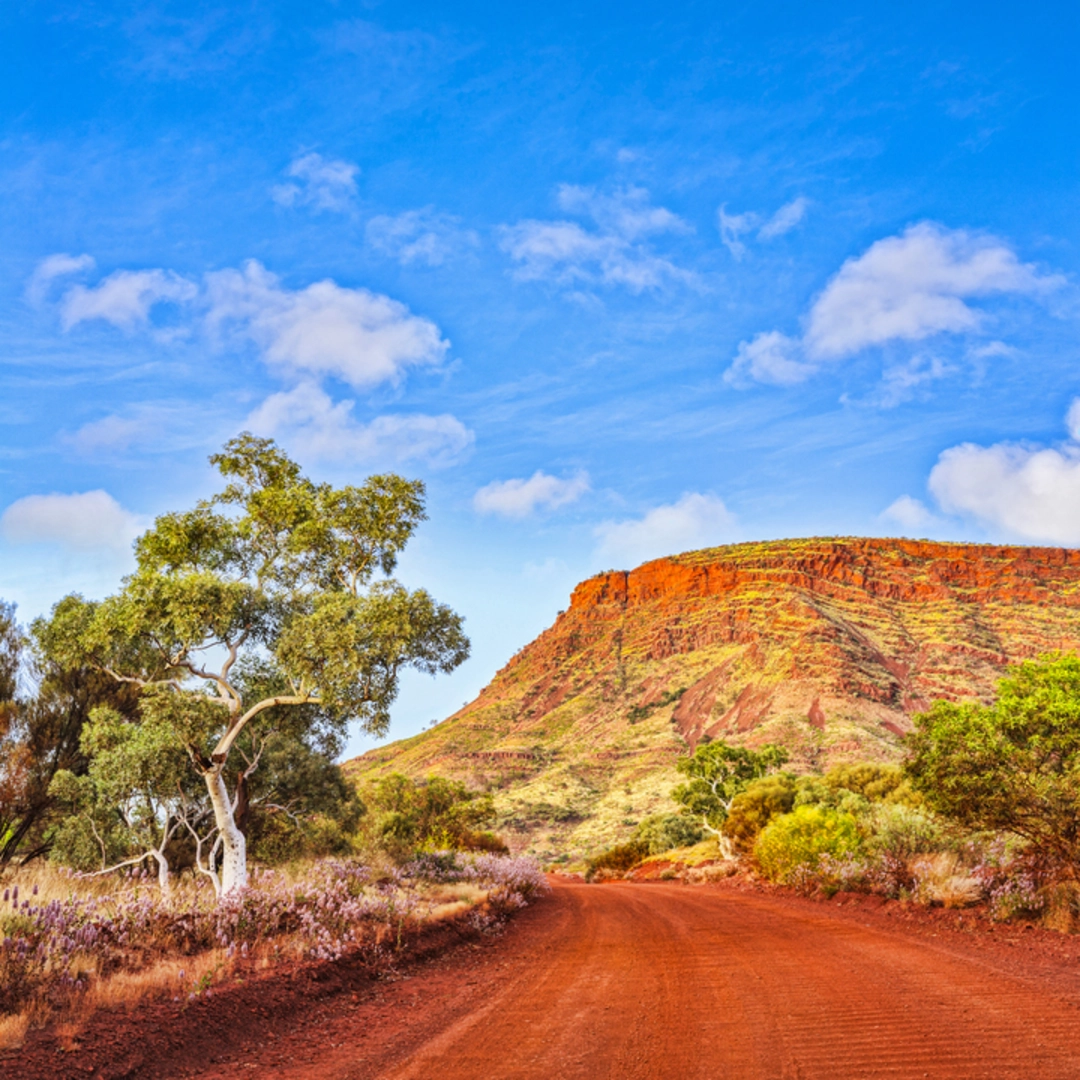 An image depicting the trail Mt Nameless Walk and its surrounding area.