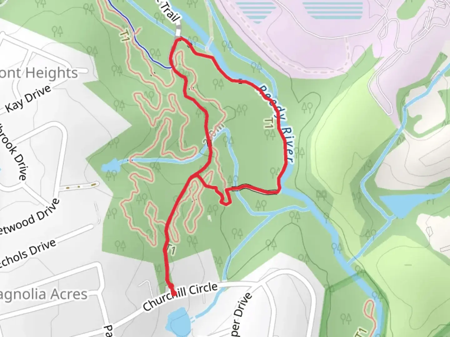 An image depicting the trail Swamp Rabbit and Tree Frog Loop Trail and its surrounding area.
