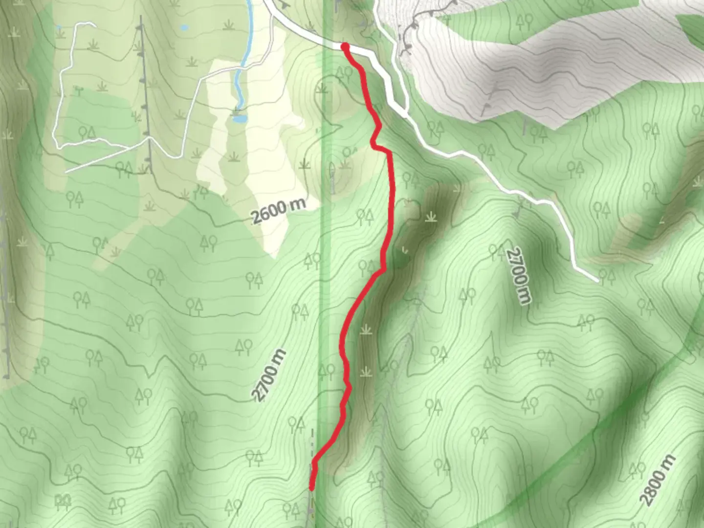 An image depicting the trail Bulls Eye Road and its surrounding area.