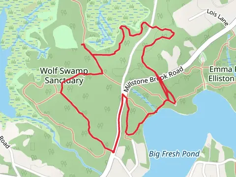 Wolf Swamp Sanctuary Loop Trail