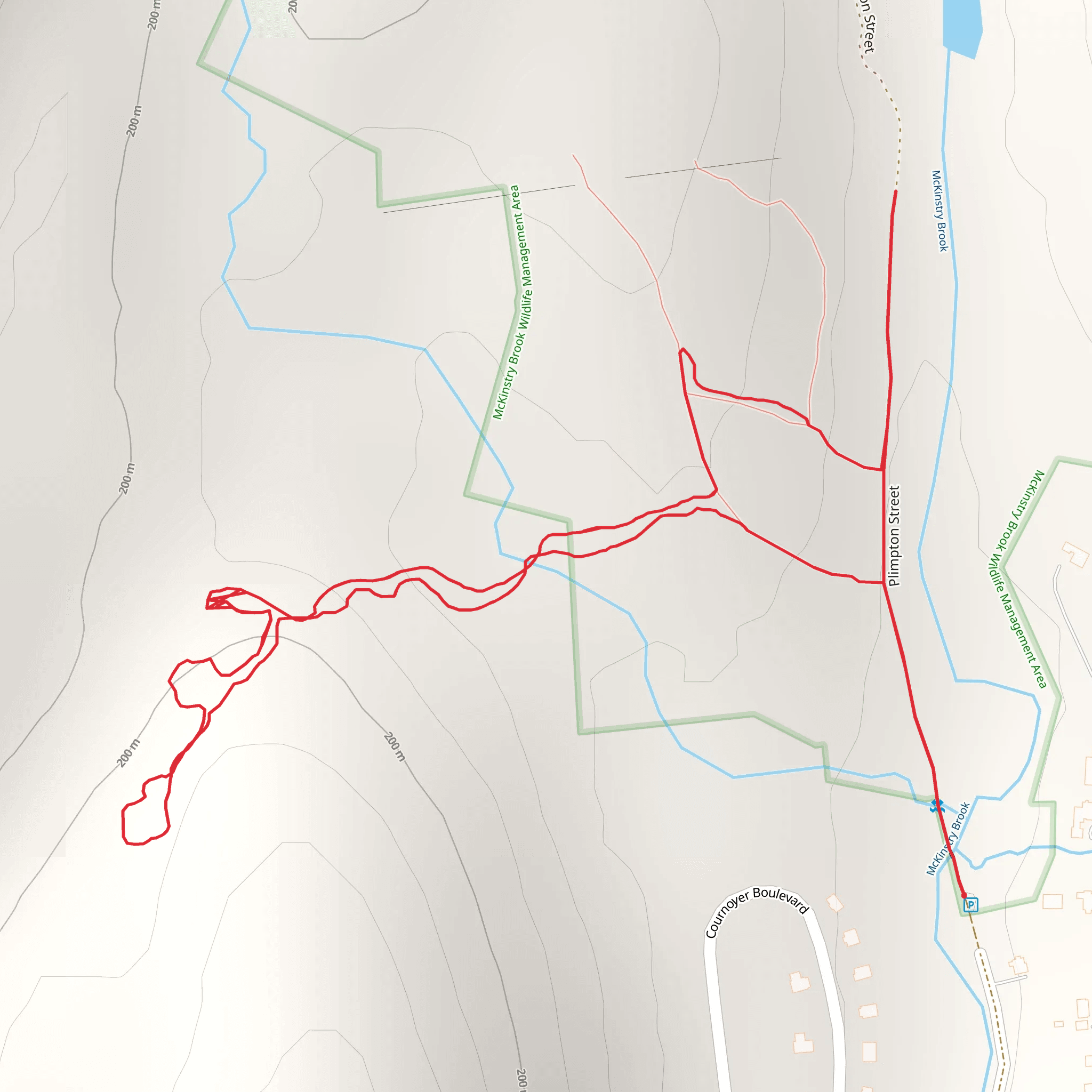 Plimpton Street Loop McKinstry Brook mobile static map