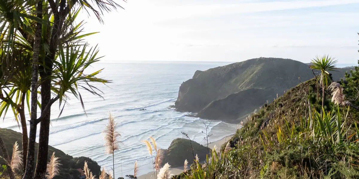 Anawhata Beach Trail