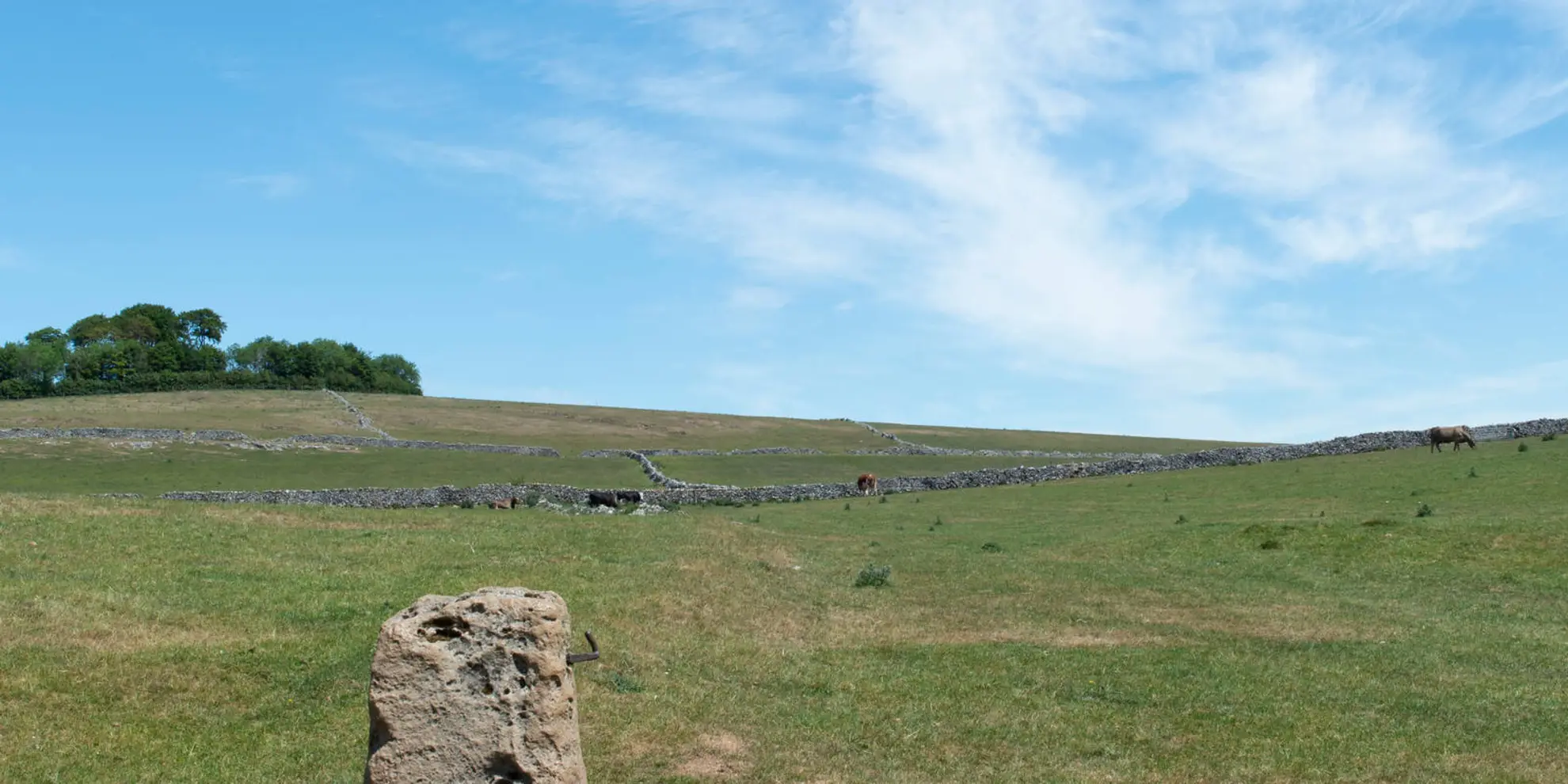 An image depicting the trail Minninglow Hill - Roystone Grange and Cardlemere Lane and its surrounding area.