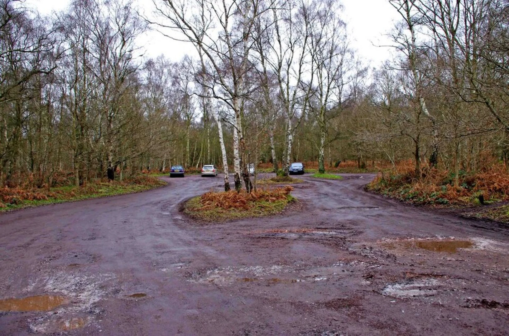 An image depicting the trail Highgate Common via Oil Beetle Trail and its surrounding area.