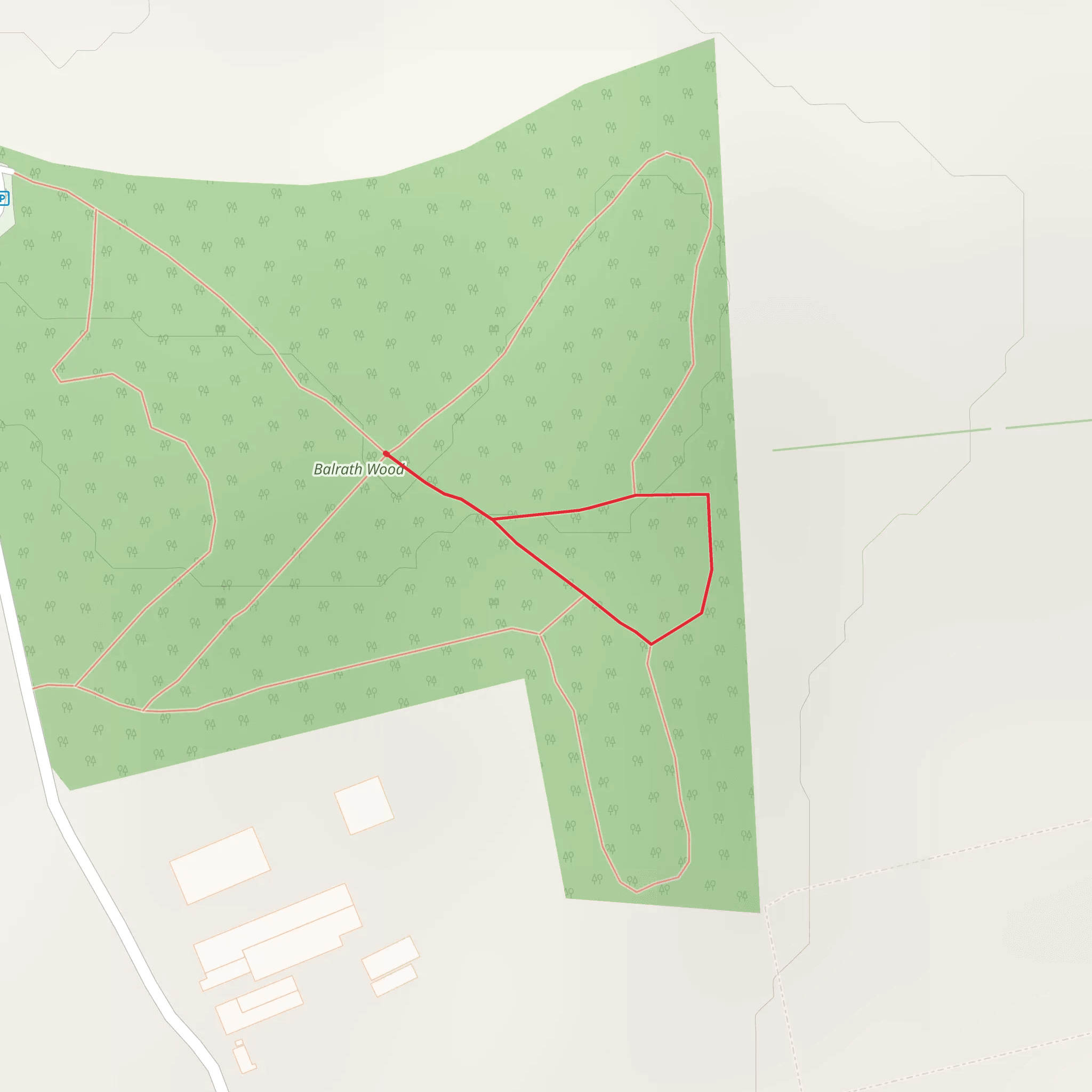 Balrath Wood - Easy Walk mobile static map