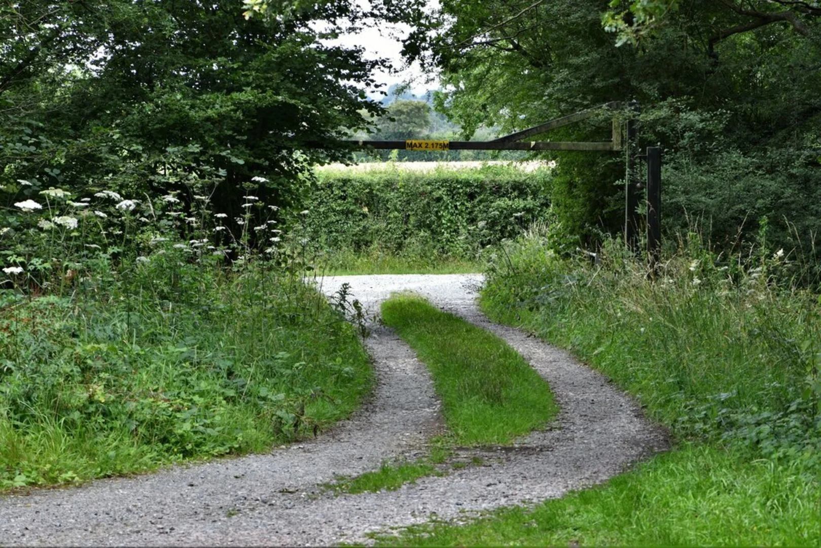 An image depicting the trail Foxley Wood Loop and its surrounding area.