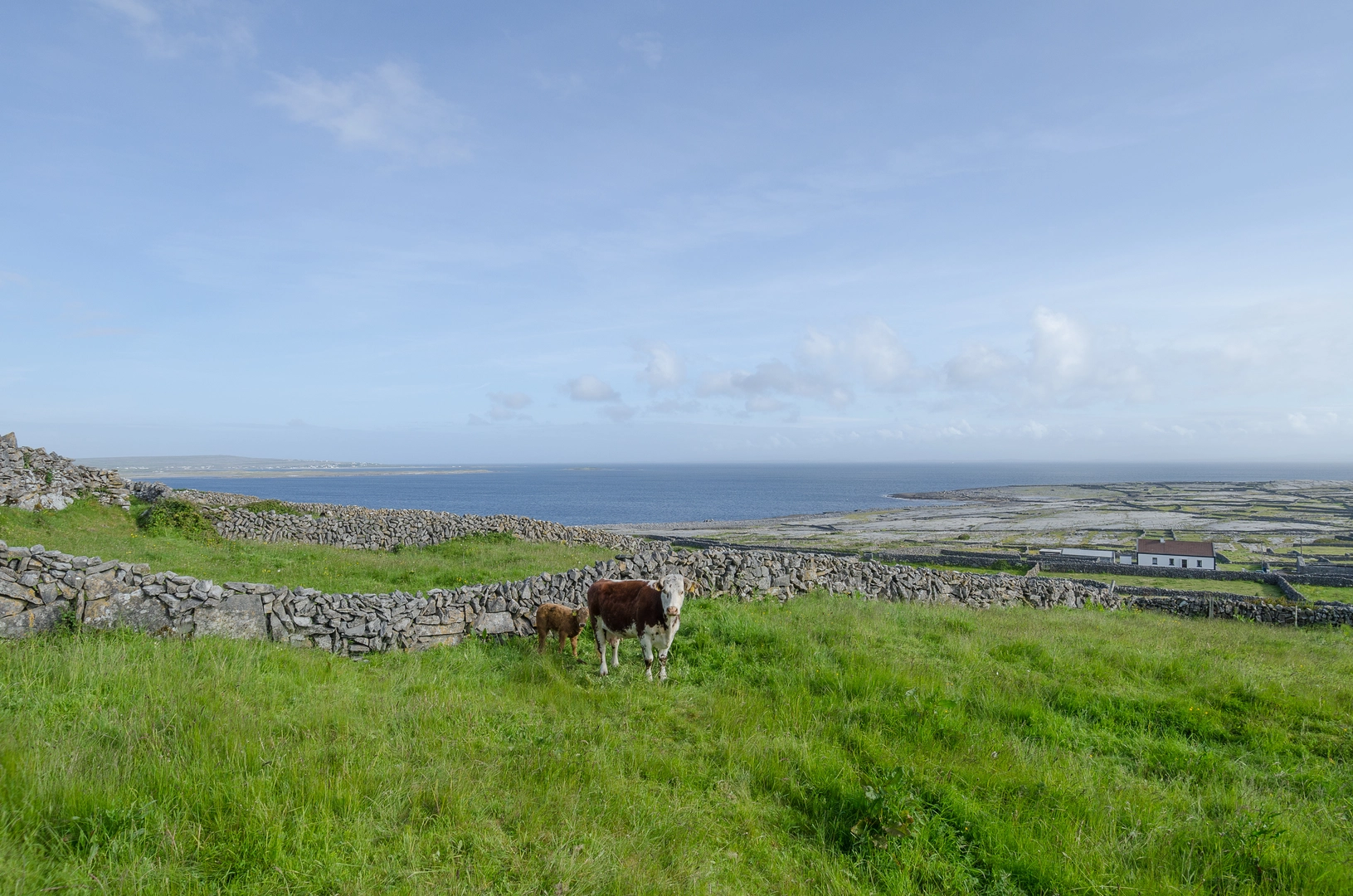 An image depicting the trail Inis Meain - Lub Dun Fearbhai and its surrounding area.