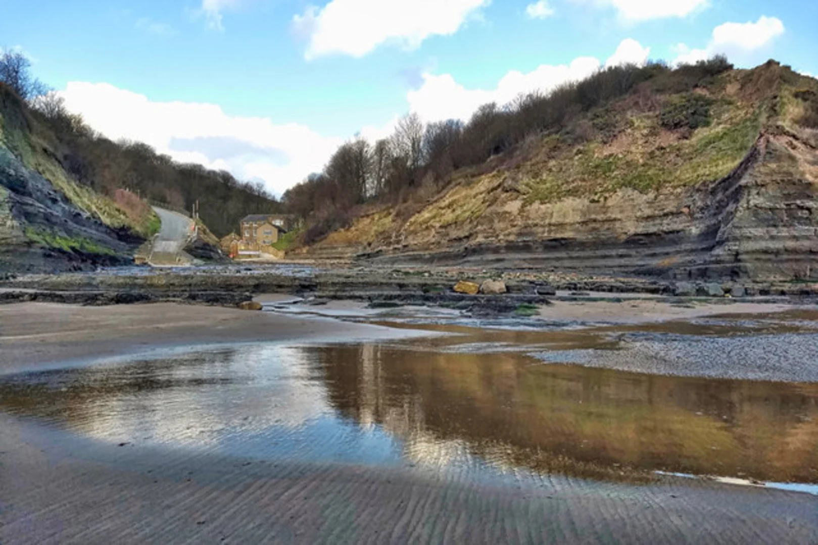 An image depicting the trail Stoupe Beck Wood and Pricky Bank Wood Loop and its surrounding area.