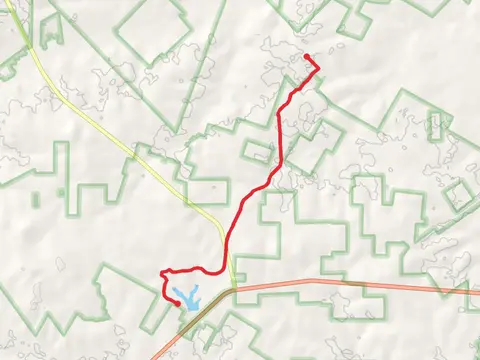 Ratcliff Lake to County Road 2729