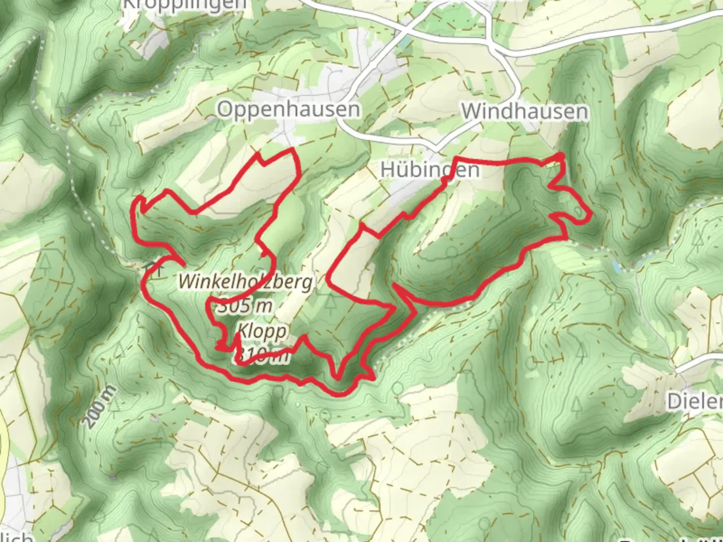 An image depicting the trail Winkelholzberg and Schoneckschleife Loop and its surrounding area.