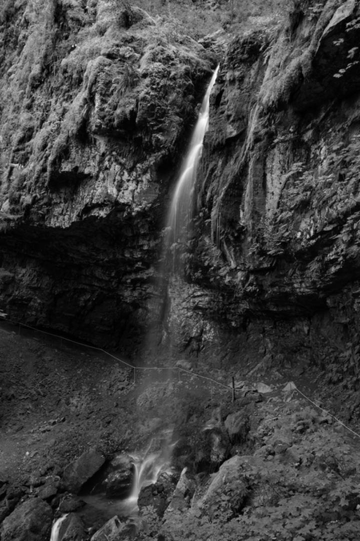 An image depicting the trail Covel Creek Falls Trail and its surrounding area.