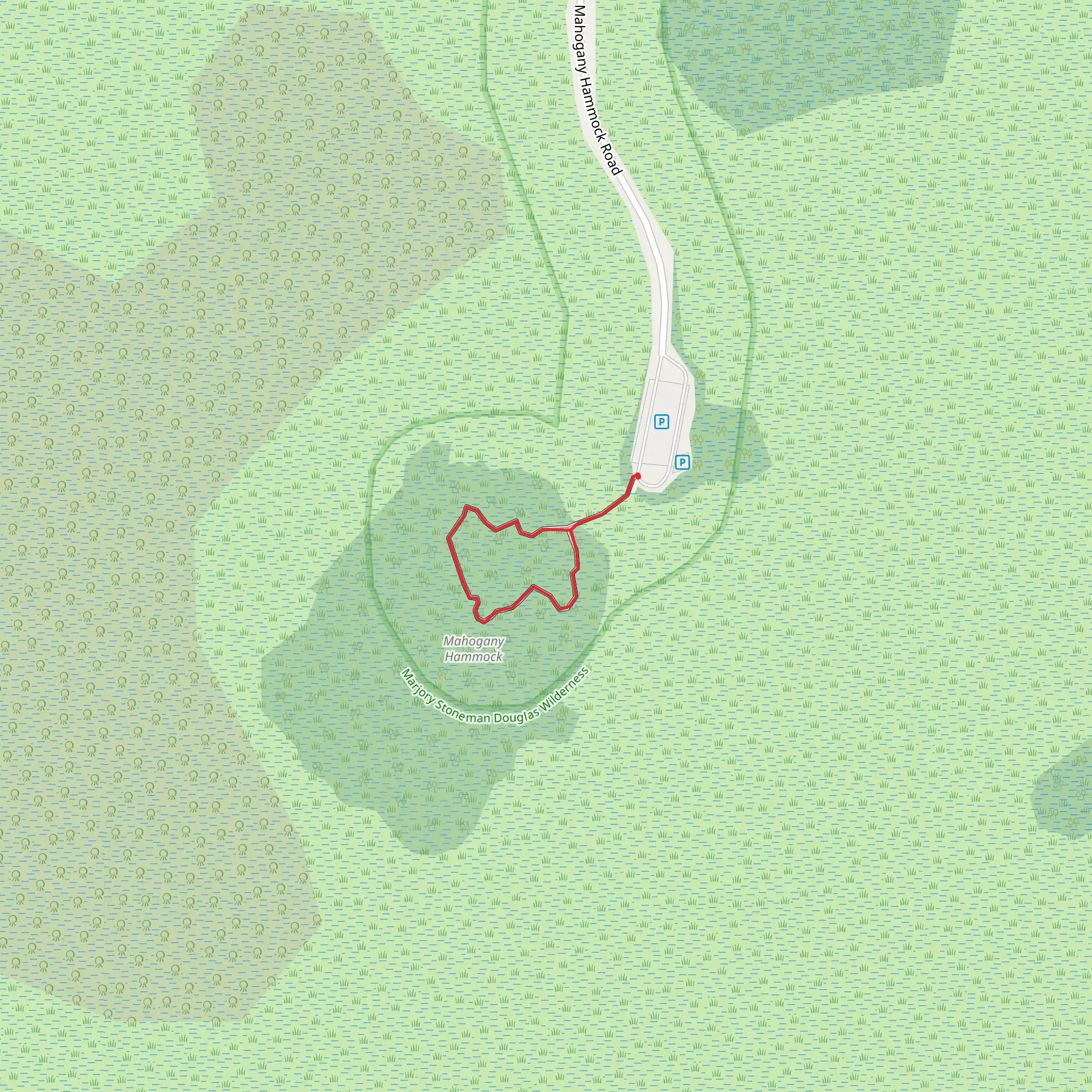 Mahogany Hammock Loop Trail mobile static map