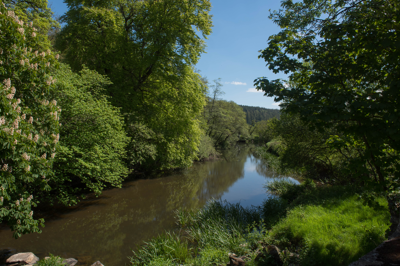 An image depicting the trail Ridge and Valley Walk - Little Dart and its surrounding area.