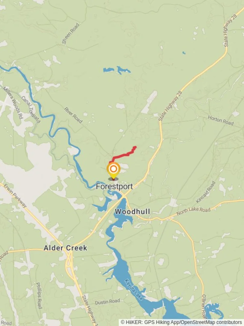 An image depicting the trail River Road Trail - Forestport and its surrounding area.