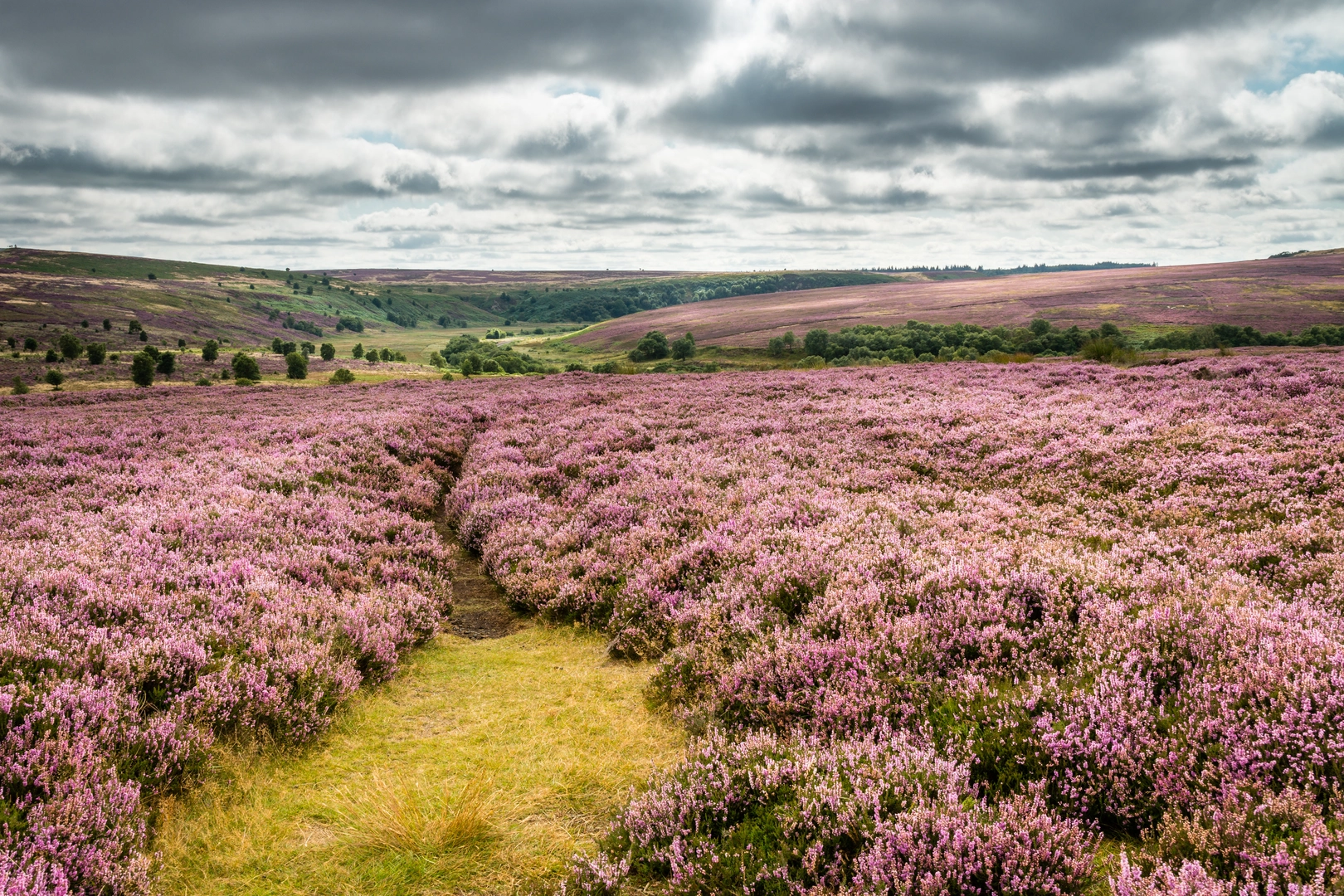 An image depicting the trail Goathland and Howl Moors and its surrounding area.