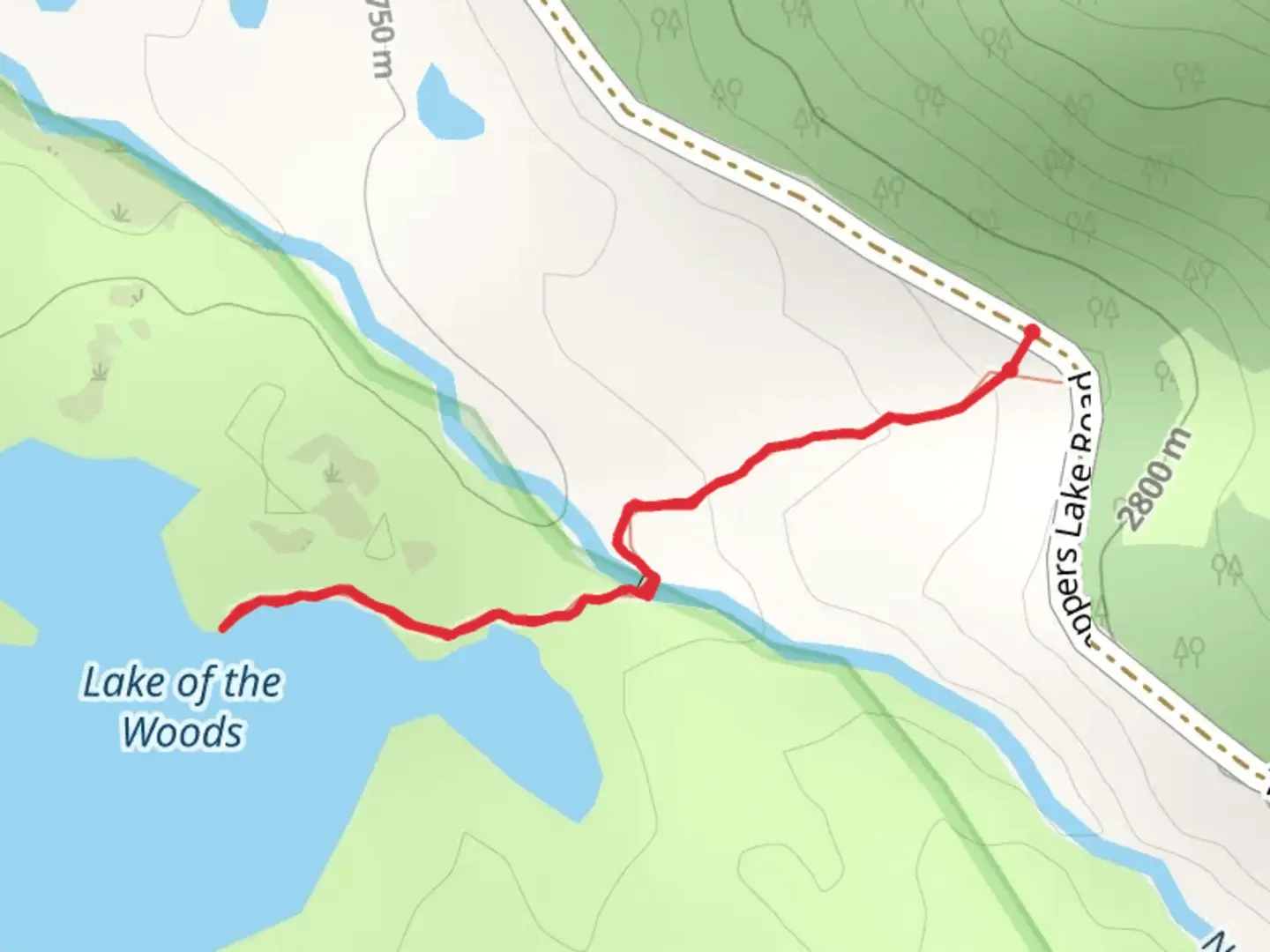 An image depicting the trail Lake of the Woods Trail and its surrounding area.