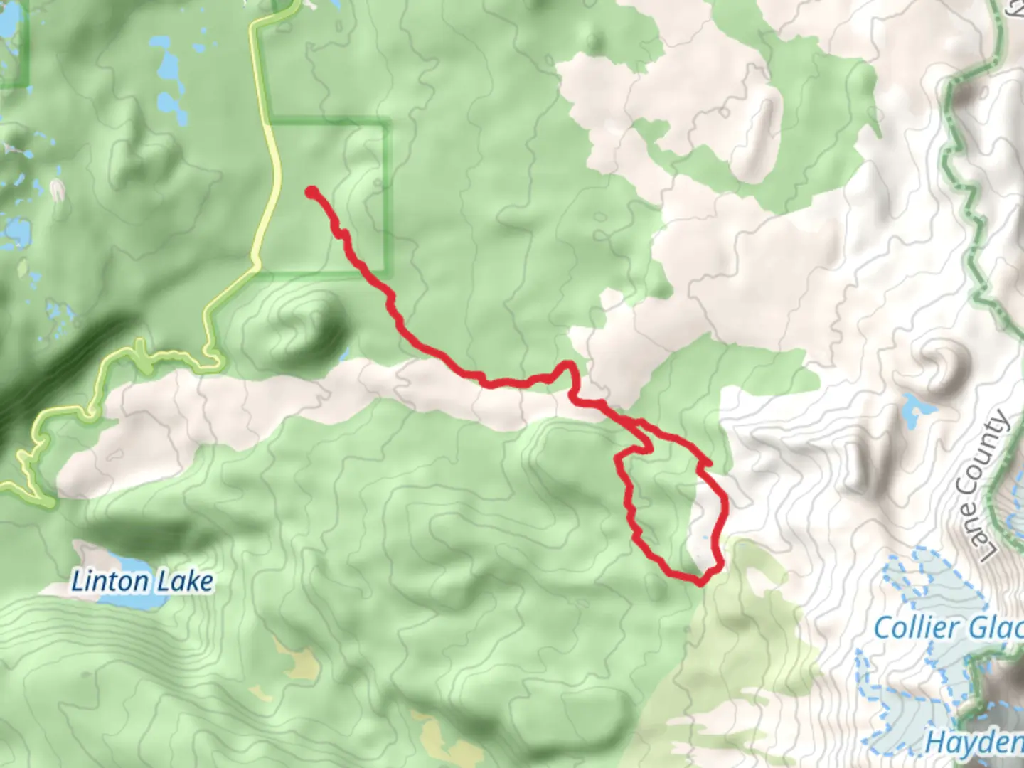 An image depicting the trail Obsidian Loop Trail and its surrounding area.