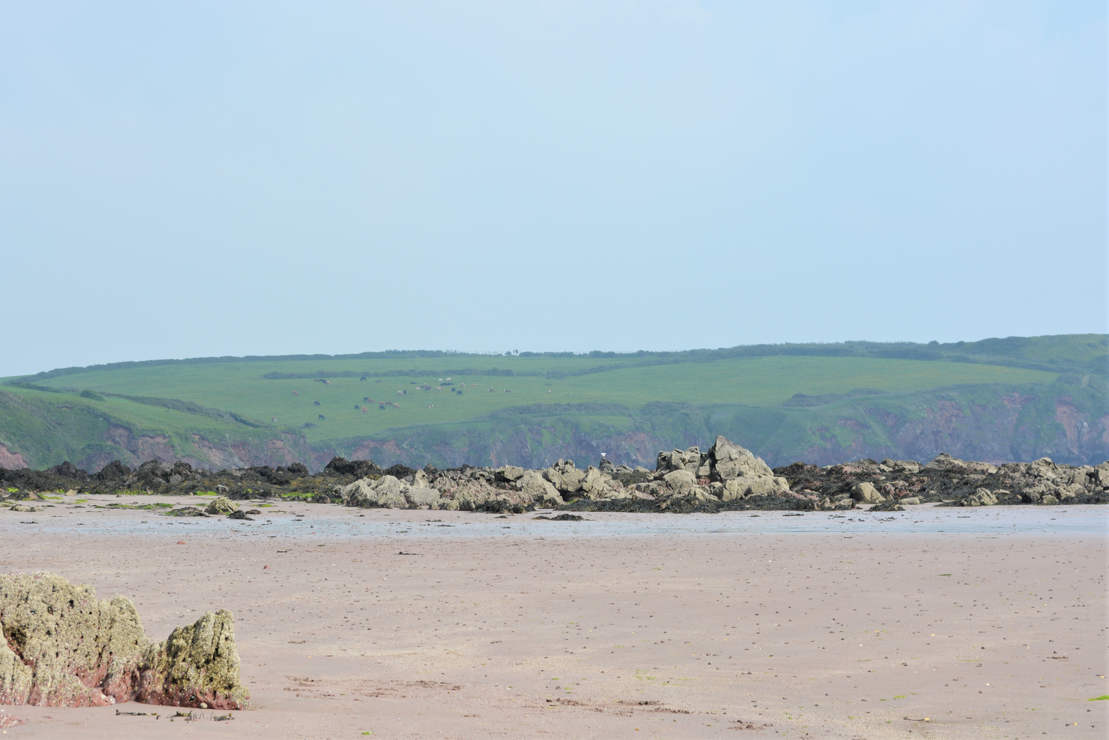 An image depicting the trail Herbrandston Walk and its surrounding area.