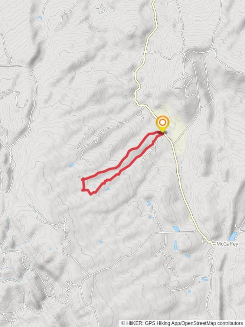 An image depicting the trail Sawmill Road and Struck Truck Loop and its surrounding area.