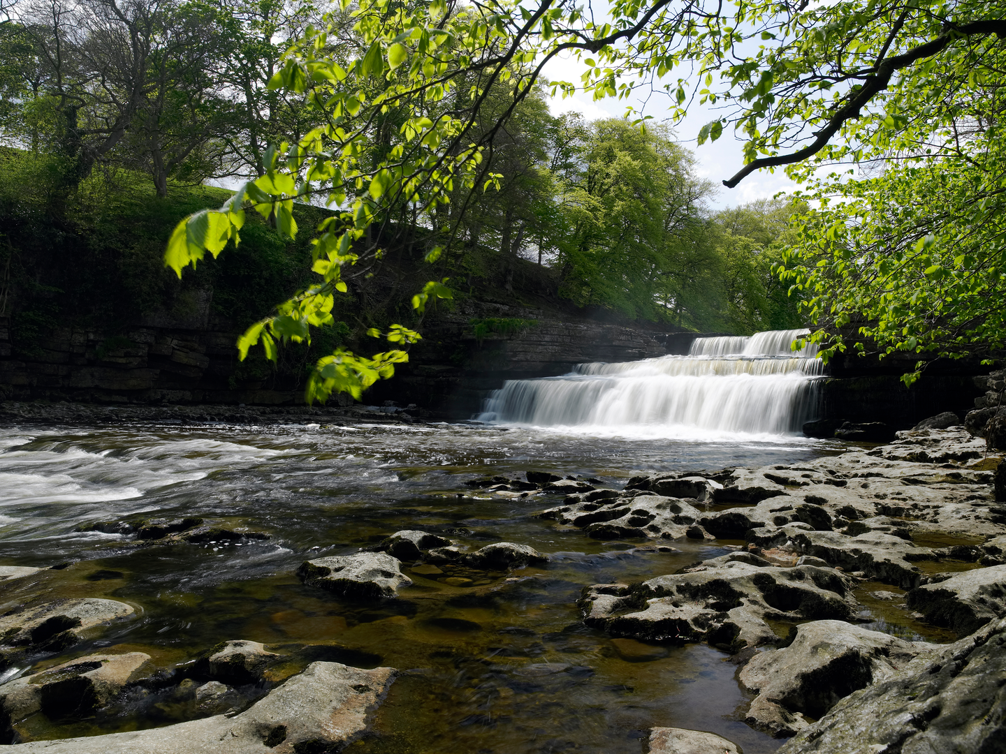 An image depicting the trail Aysgarth Falls and its surrounding area.