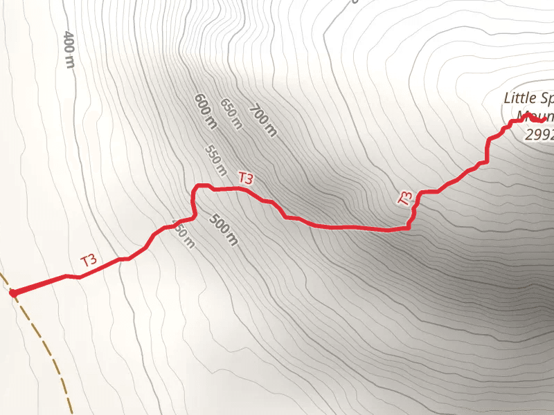 Little Spencer Mountain Trail