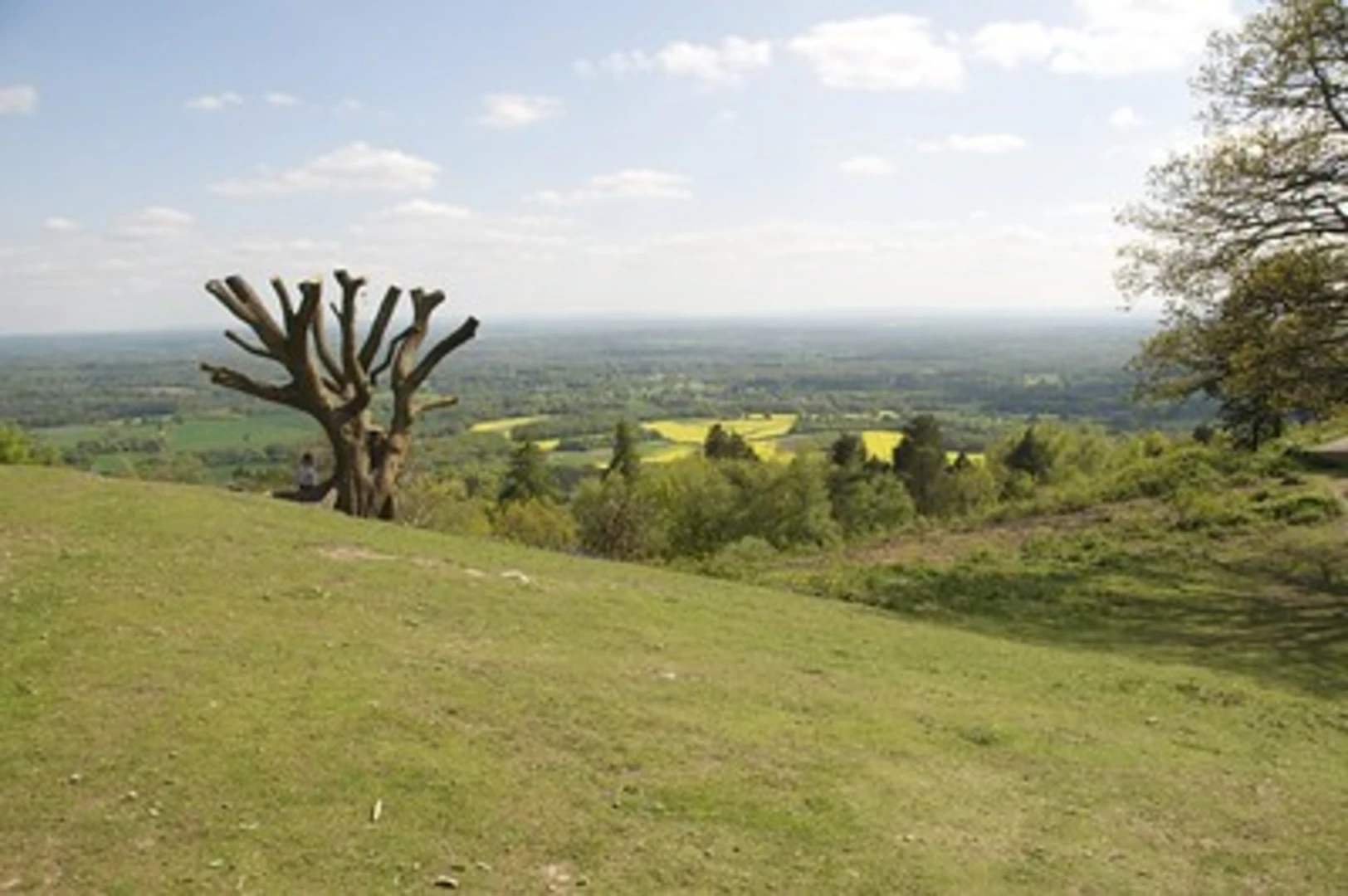 An image depicting the trail Leith Hill Walk from Ockley and its surrounding area.