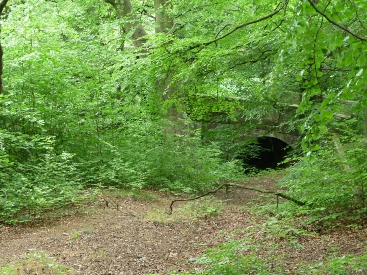 An image depicting the trail Judy Woods and Low Wood and its surrounding area.