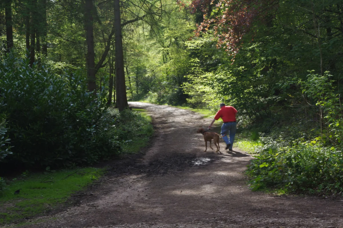 Lickey Hills Country Park Circular Walk