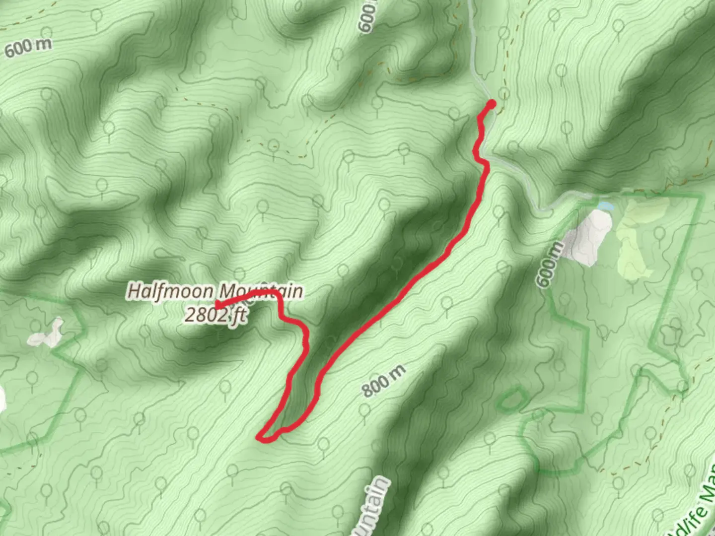 An image depicting the trail Halfmoon Lookout via Tuscarora Trail and its surrounding area.