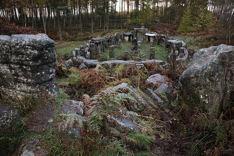 An image depicting the trail Druid's Temple and Knowle Wood Loop and its surrounding area.