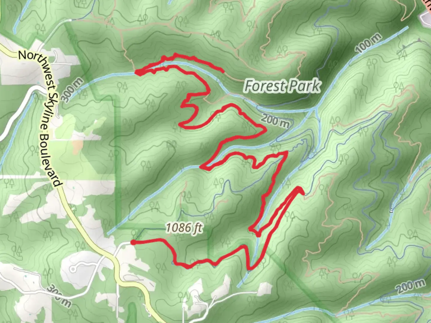 An image depicting the trail Wildwood Trail via Northwest Saltzman Road and its surrounding area.