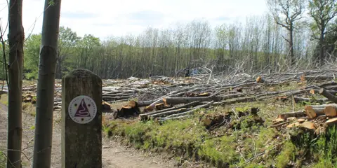 An image depicting the trail Sussex Diamond Way and its surrounding area.