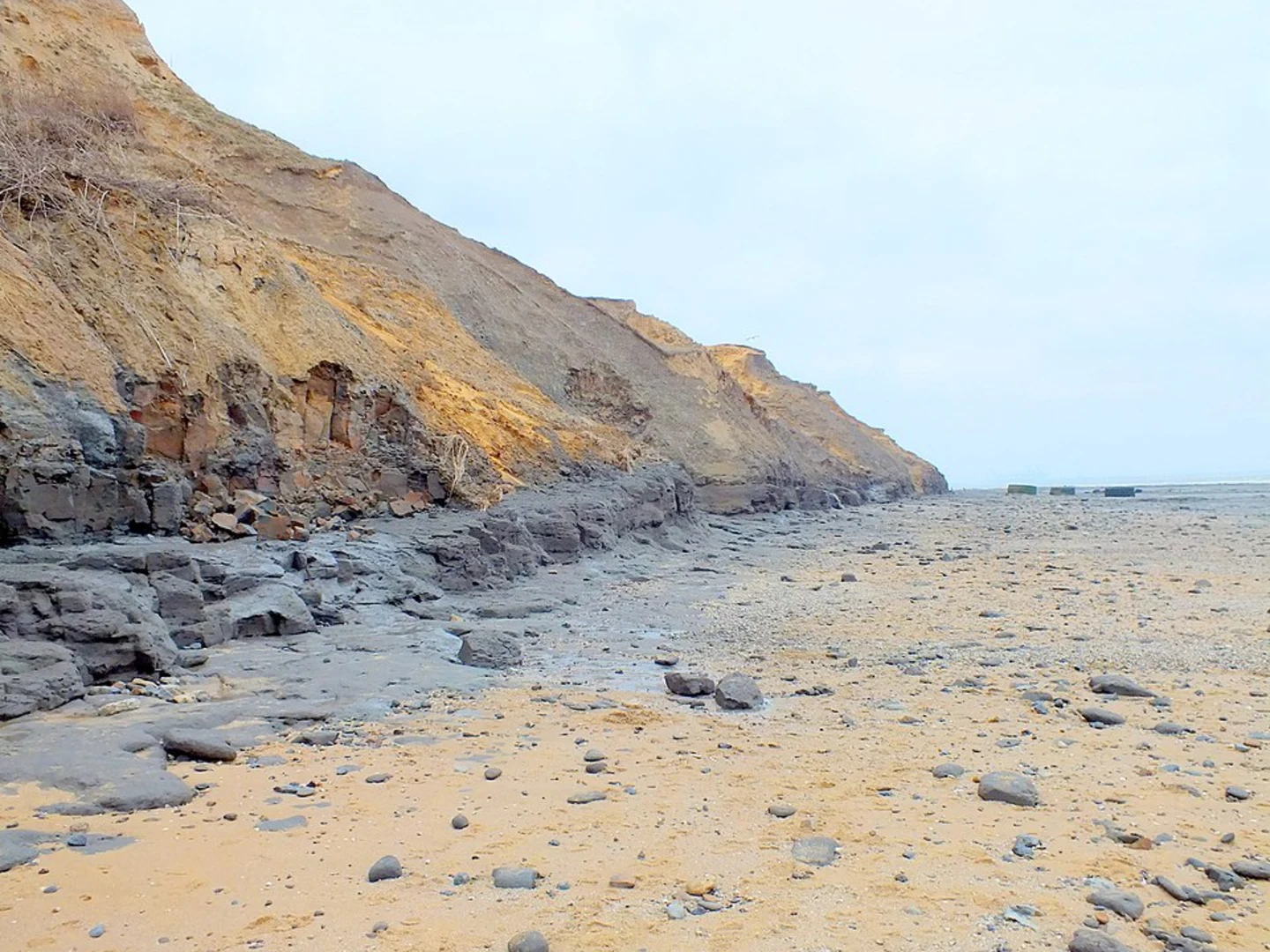 An image depicting the trail Cormorant Creek, Holiday Park and Jubilee Beach Walk and its surrounding area.