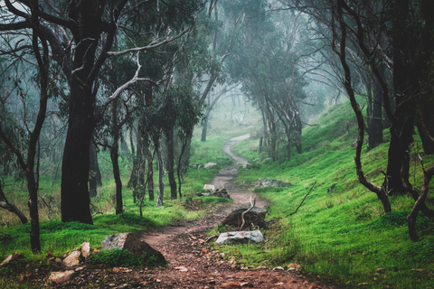 Walk in Craigburn Farm