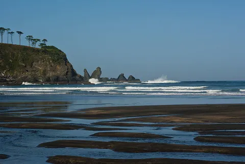 Navega March PR AS 293