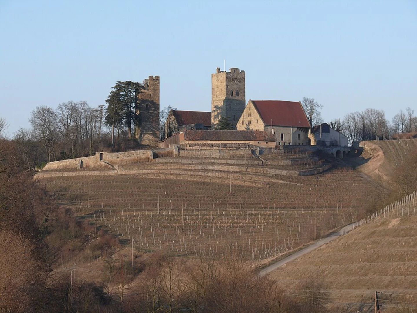 An image depicting the trail Burg Neipperg Loop and its surrounding area.