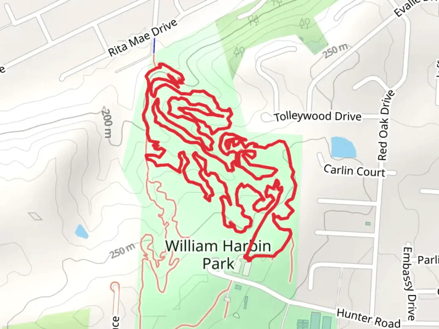 An image depicting the trail Orange Loop Trail and its surrounding area.