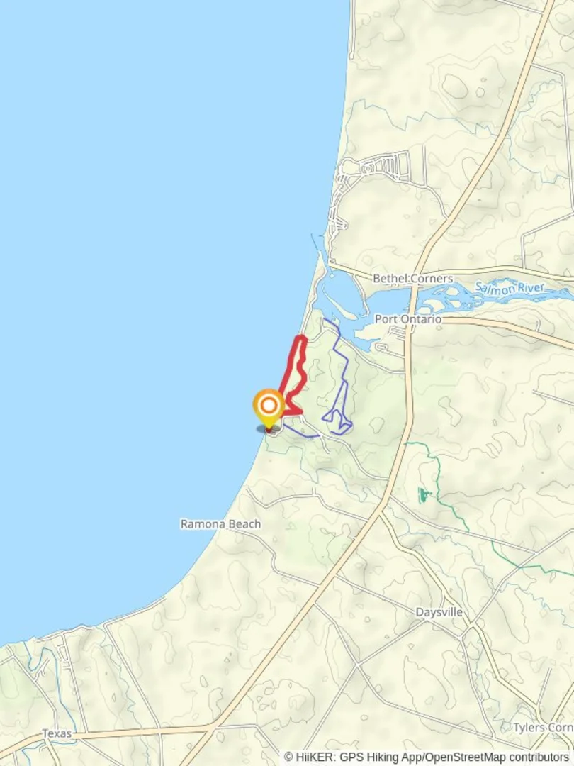 An image depicting the trail Lakeshore Loop Trail - Selkirk Shores State Park and its surrounding area.