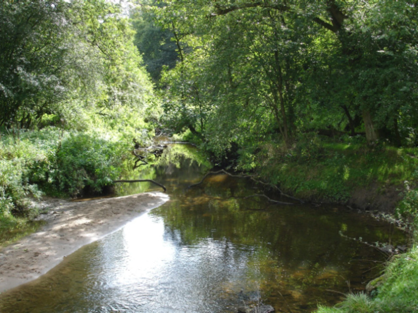 An image depicting the trail Wincham to Anderton Loop via Anderton Nature Park and its surrounding area.