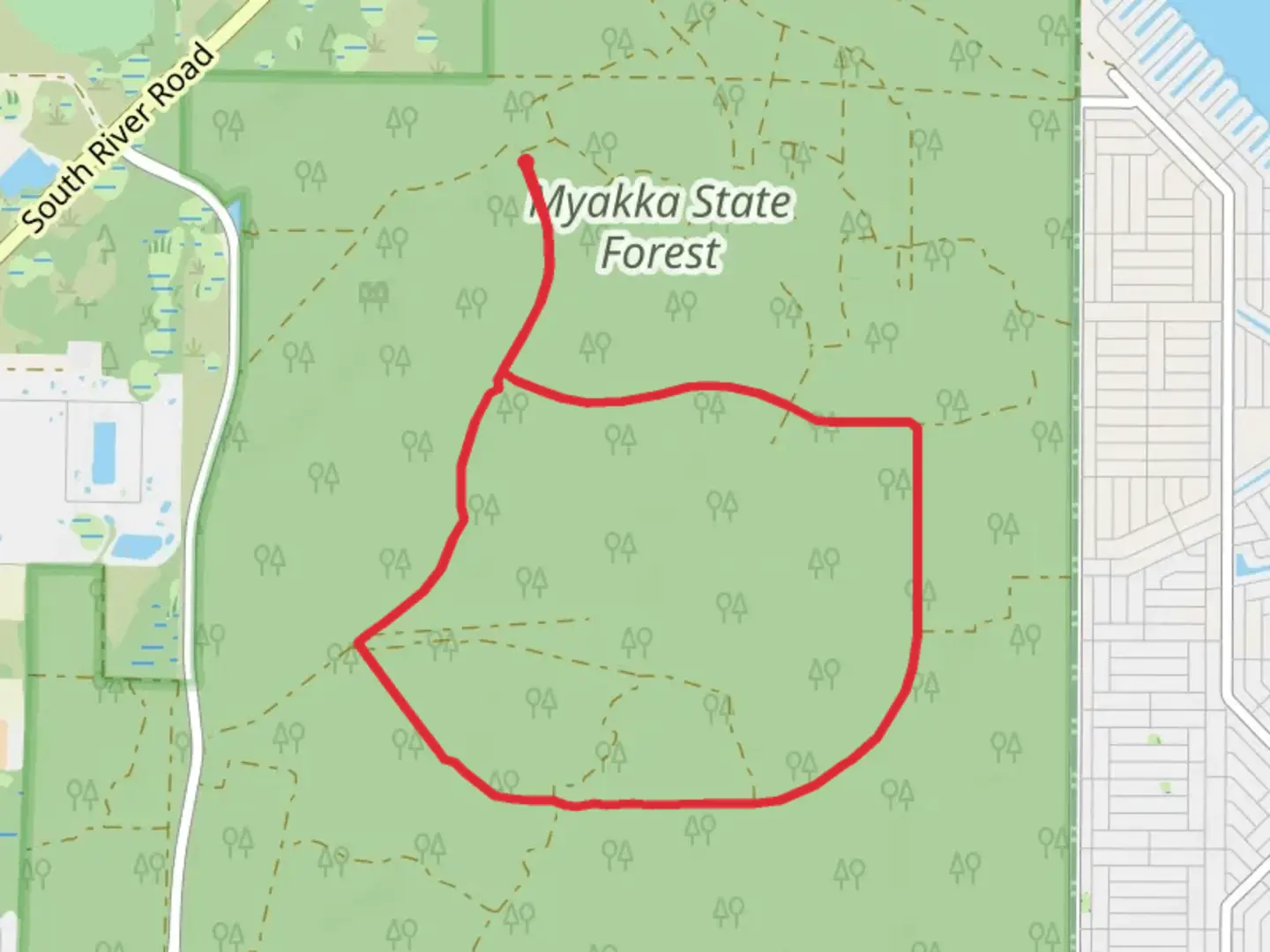 An image depicting the trail Myakka State Forest Loop and its surrounding area.