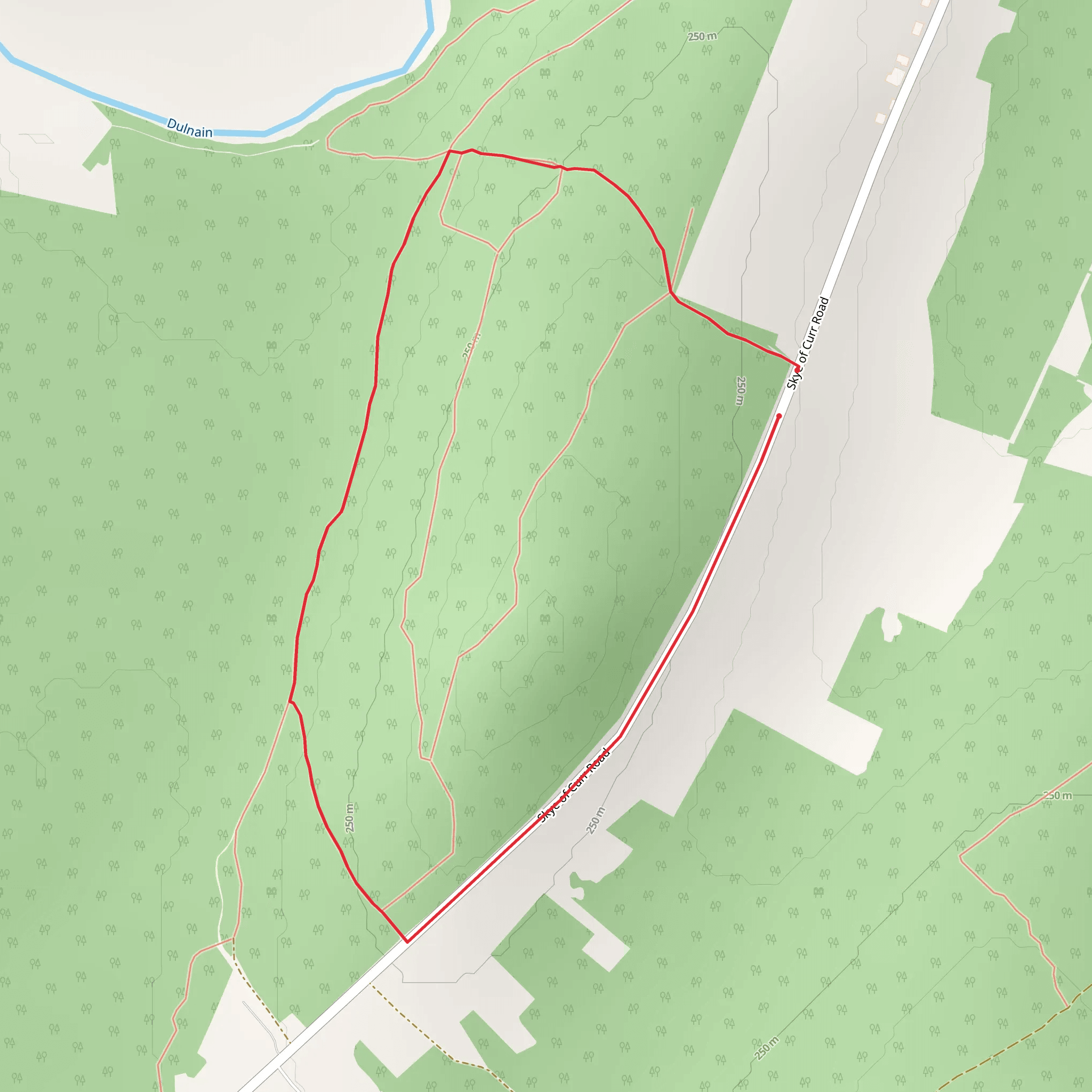 Dulnain Bridge Path - Skye of Curr Trail mobile static map