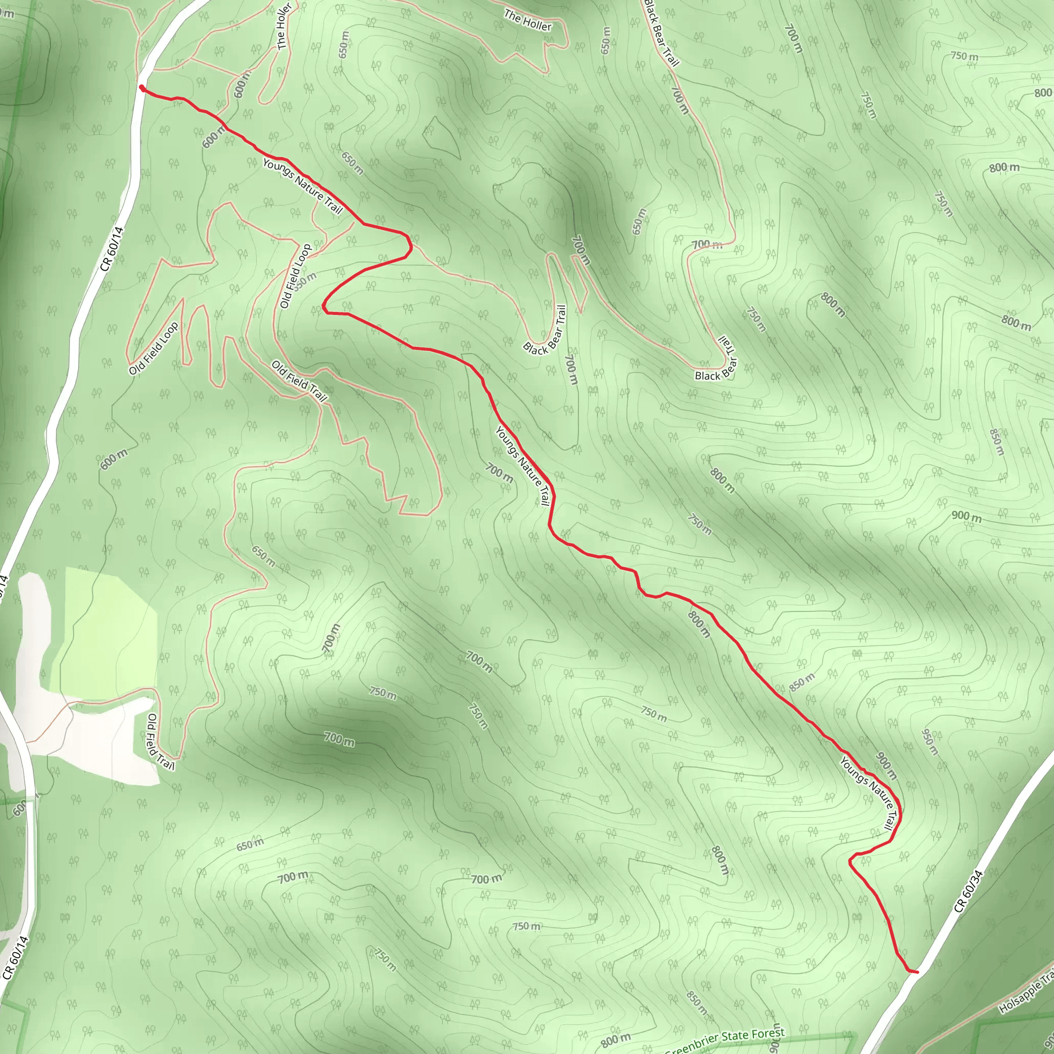 Youngs Nature Trail mobile static map